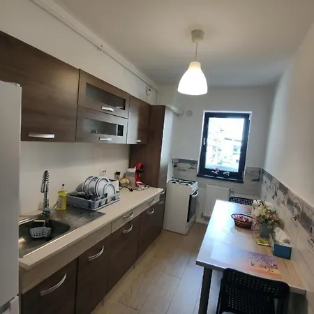 Апартаменты Ghencea Apartmens